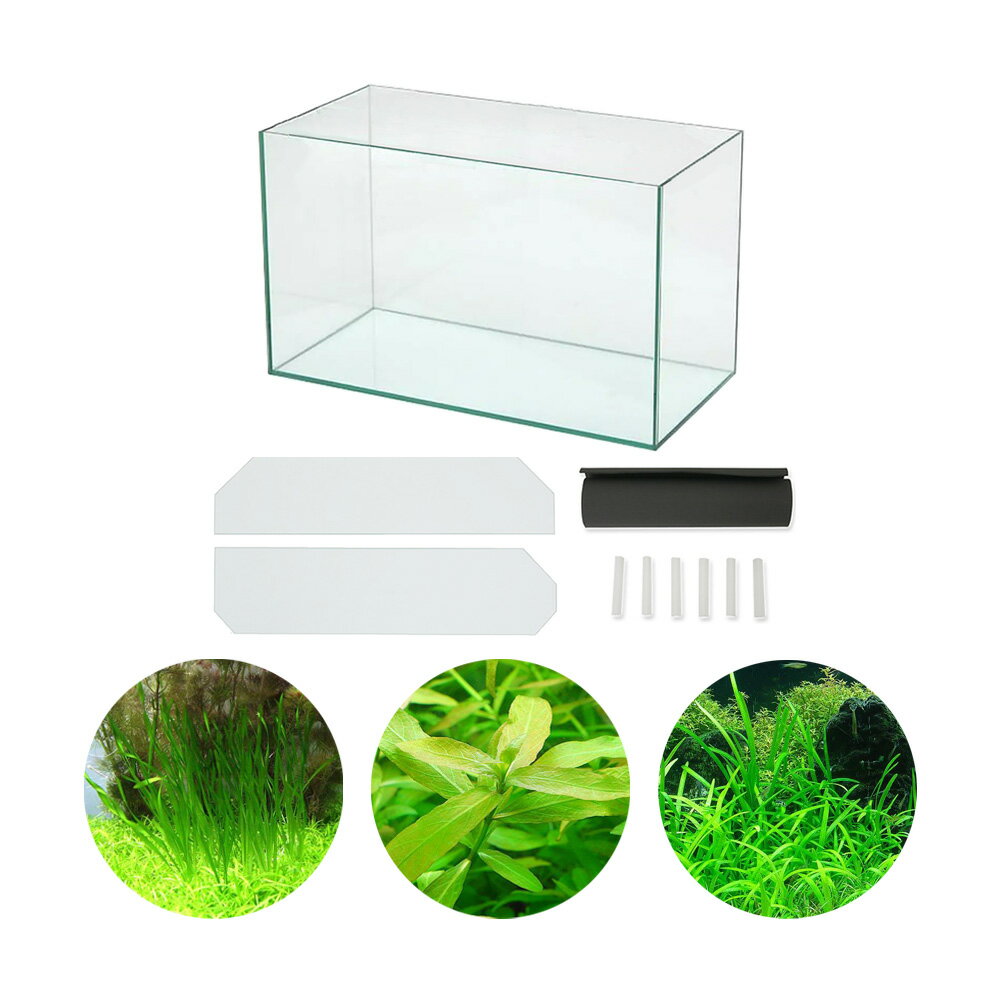 ADA ada ガラス水槽 60 30 18 廃盤 ADA キューブガーデン 60×30×18cm