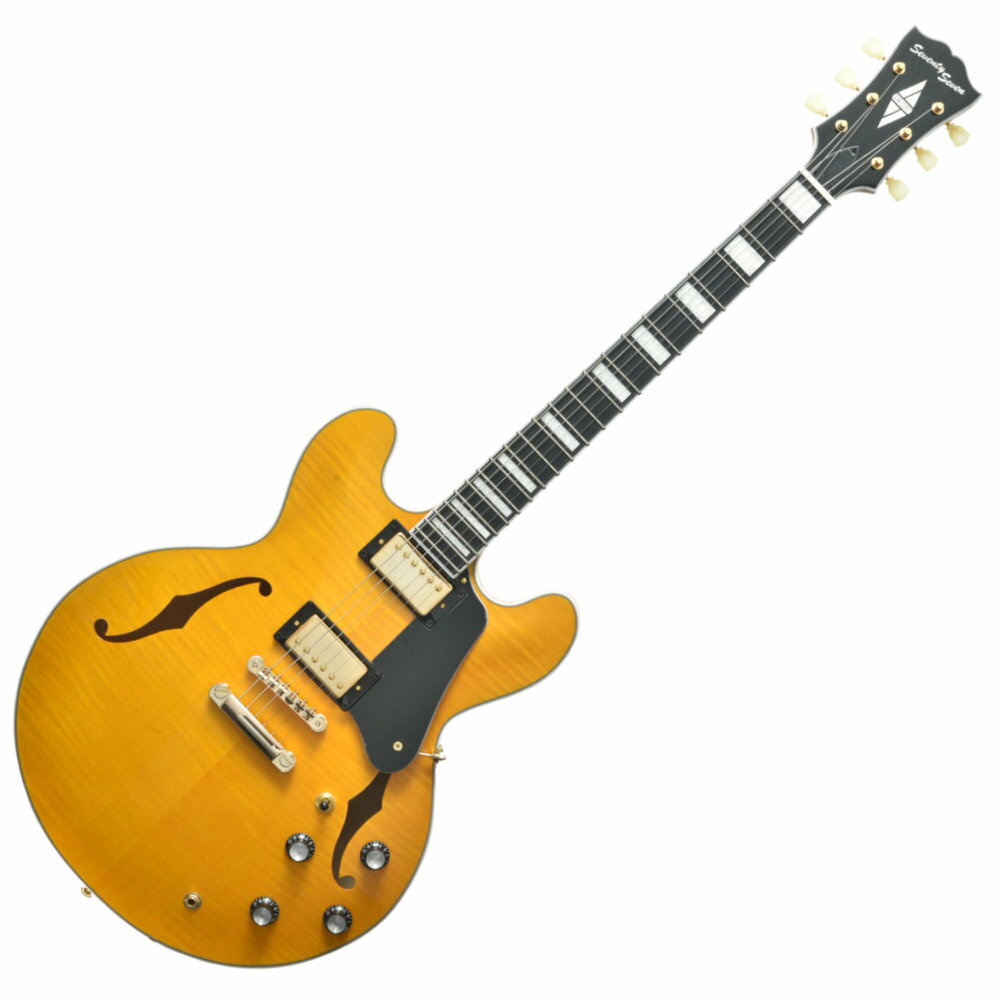 楽天市場】マッチング（種類（エレキギター）セミアコースティック