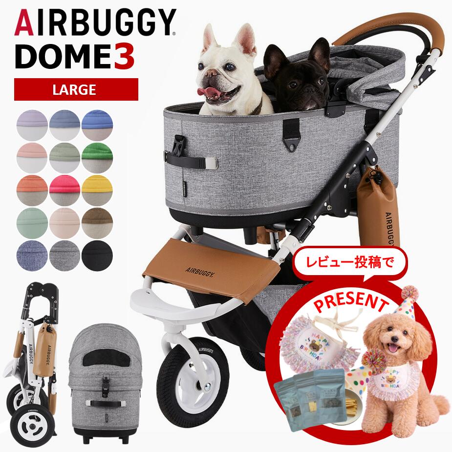 楽天市場】エアバギー ドーム3 ラージ カカオの通販