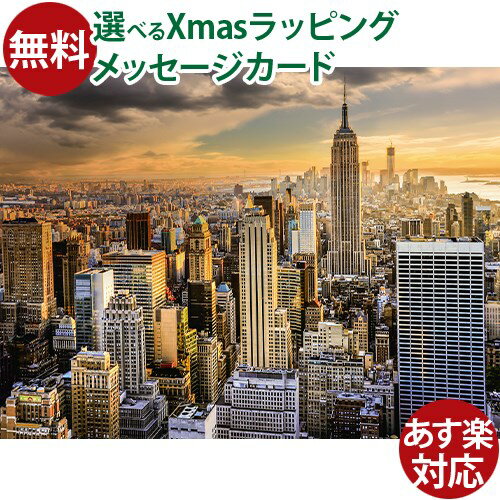 新品未使用】超大型パズル ニューヨーク ブルックリンブリッジ