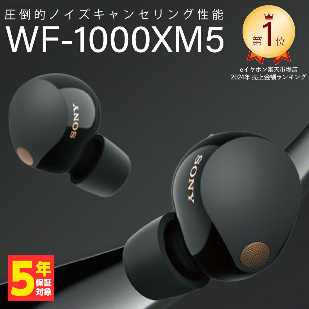 ⚠ジャンク⚠ SONY WF-1000XM5 ワイヤレスイヤホン ブラック