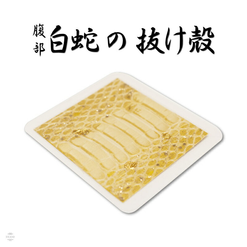 白ヘビの抜け殻まとめ売り 【公式通販】