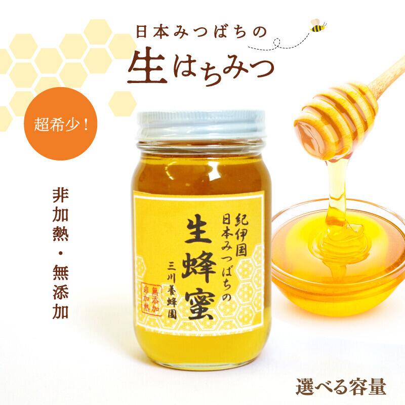 日本蜜蜂の天然ハチミツ無添加内容量500g × 2本
