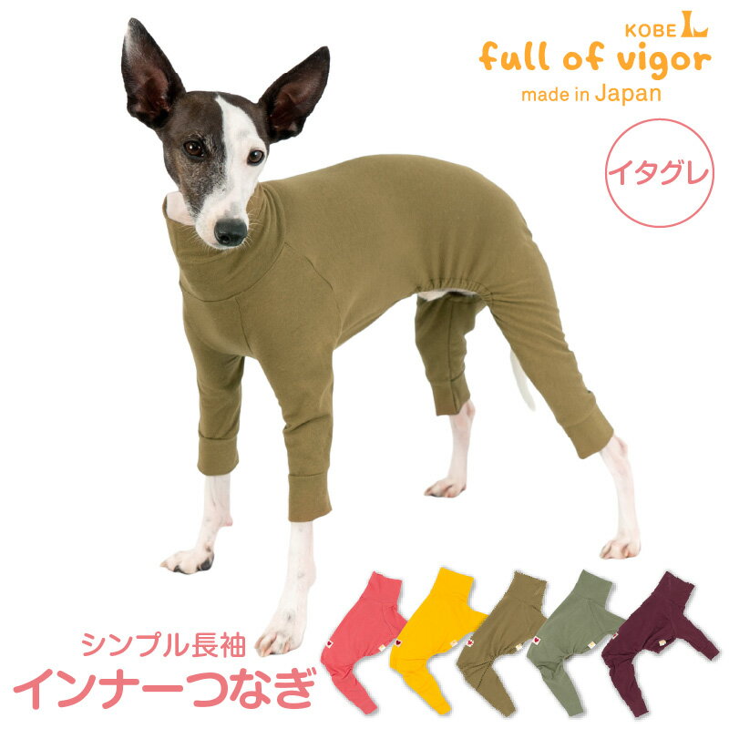 トレーナー生地ロンパースMサイズイタグレ服