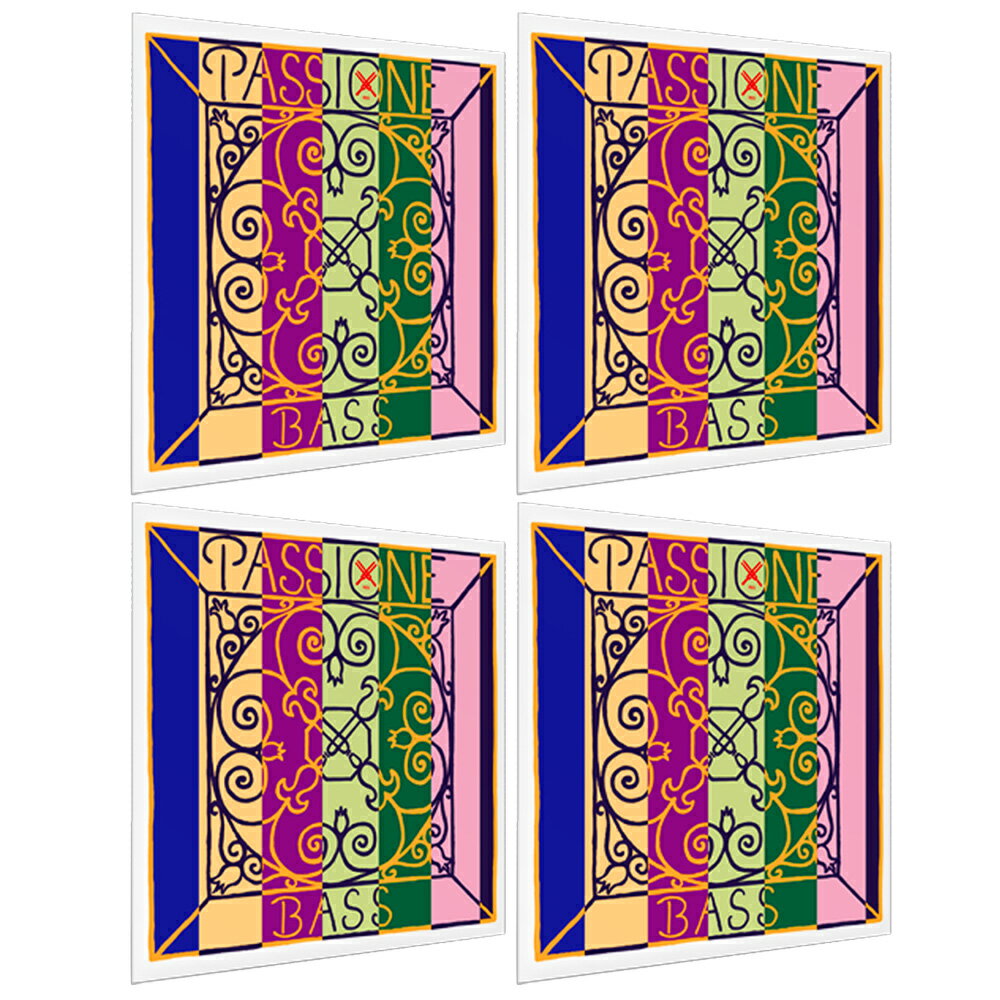 楽天市場】passione コントラバス弦 セットの通販