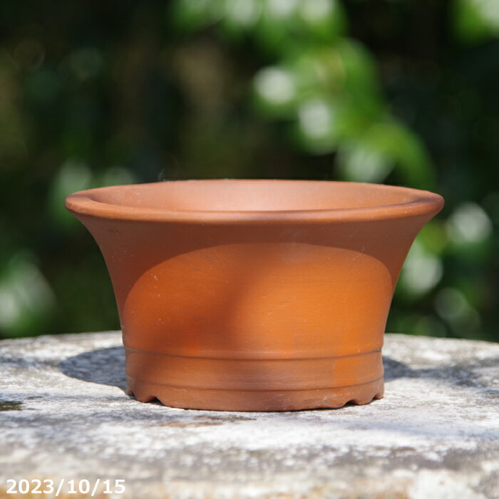 中国美術 朱泥 植木鉢 蘭鉢 園芸(BB451) 中国美術 朱泥 植木鉢 蘭鉢