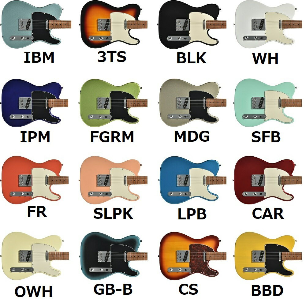 バッカス テレキャスター グローバル OilFinish PU カスタム バッカス