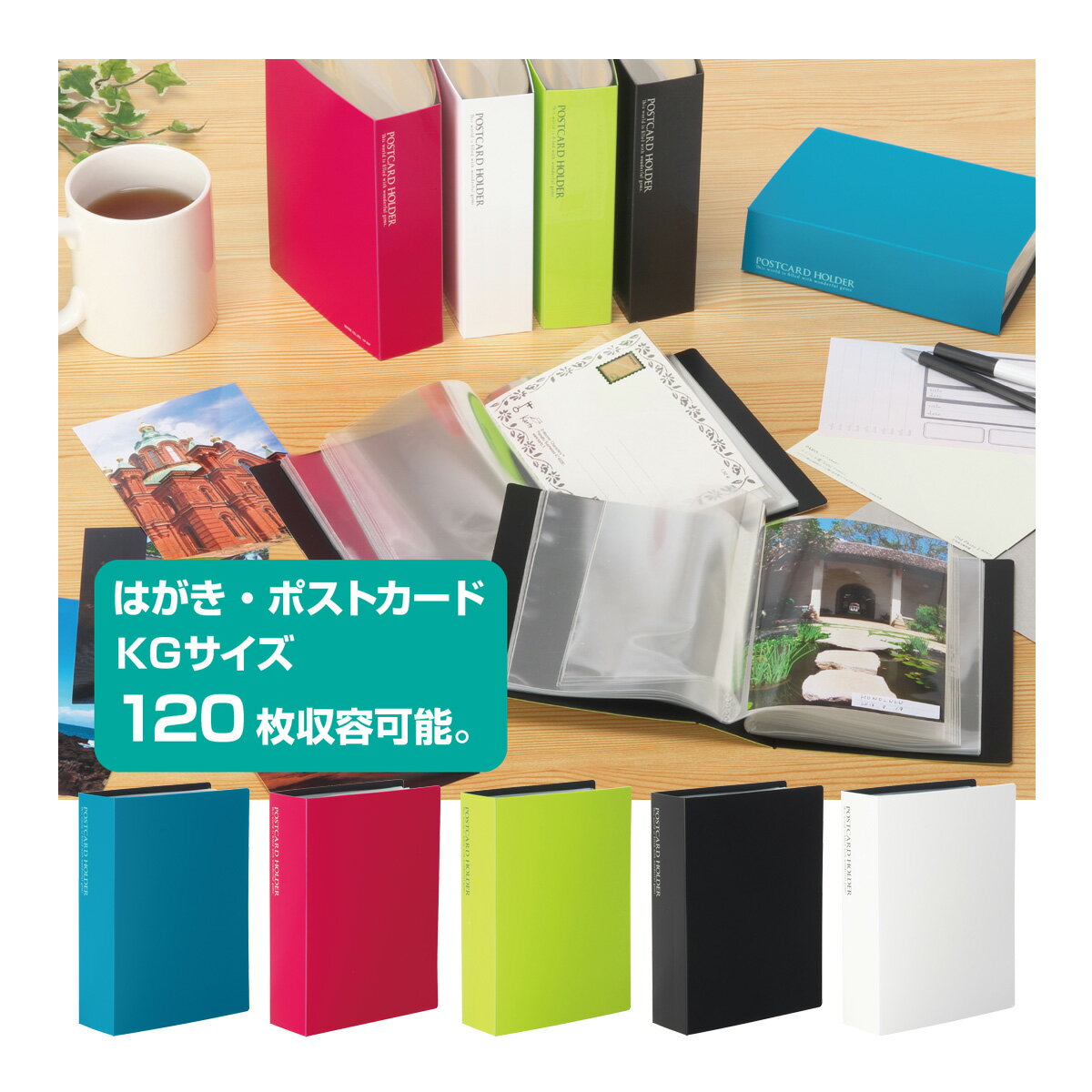 クリアファイル パンダ 5点セット ハガキサイズ 新品未使用 クリア