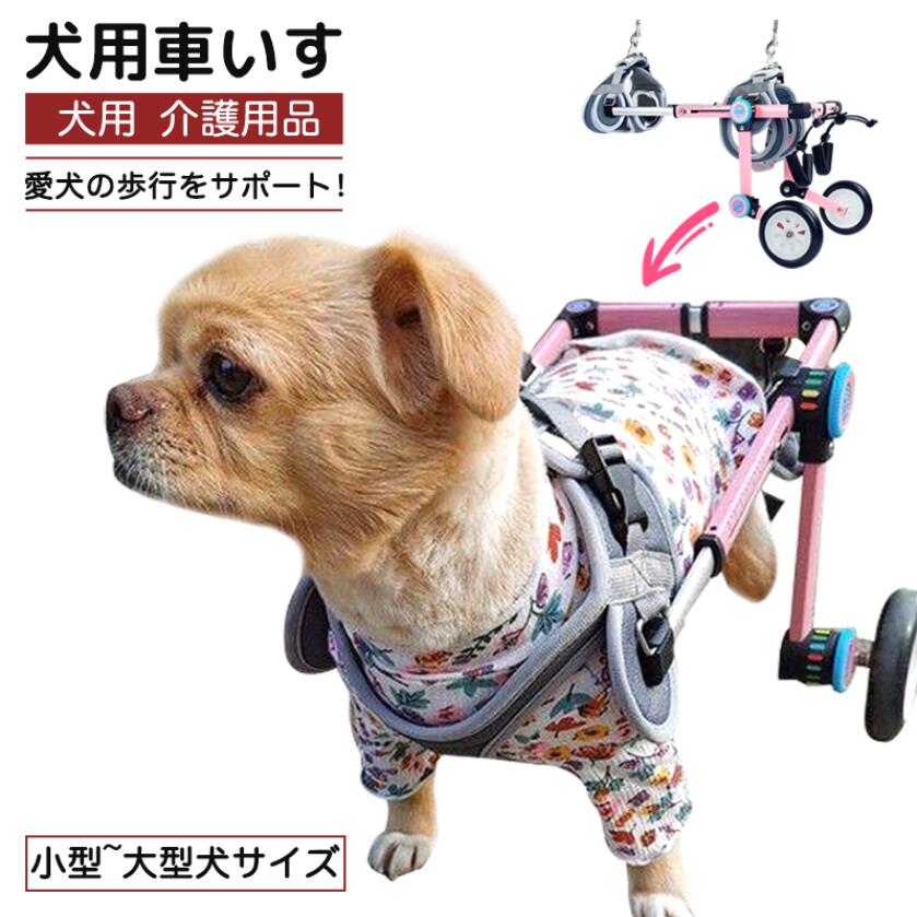 チワワ4輪 リハビリ 食事補助 犬用車椅子 シニア犬介護 犬の歩行器