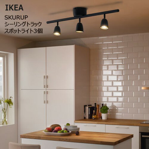 トラックファニチャーのシーリングライト トラックファニチャーの