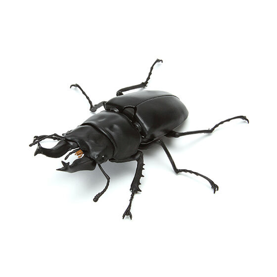 楽天市場】ローゼンベルグオウゴンオニクワガタの通販