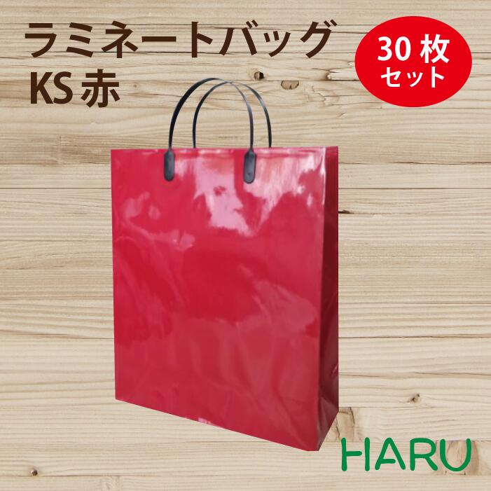 ルイ13世 赤い紙袋 5枚セット ルイ13世 赤い紙袋 5枚セット