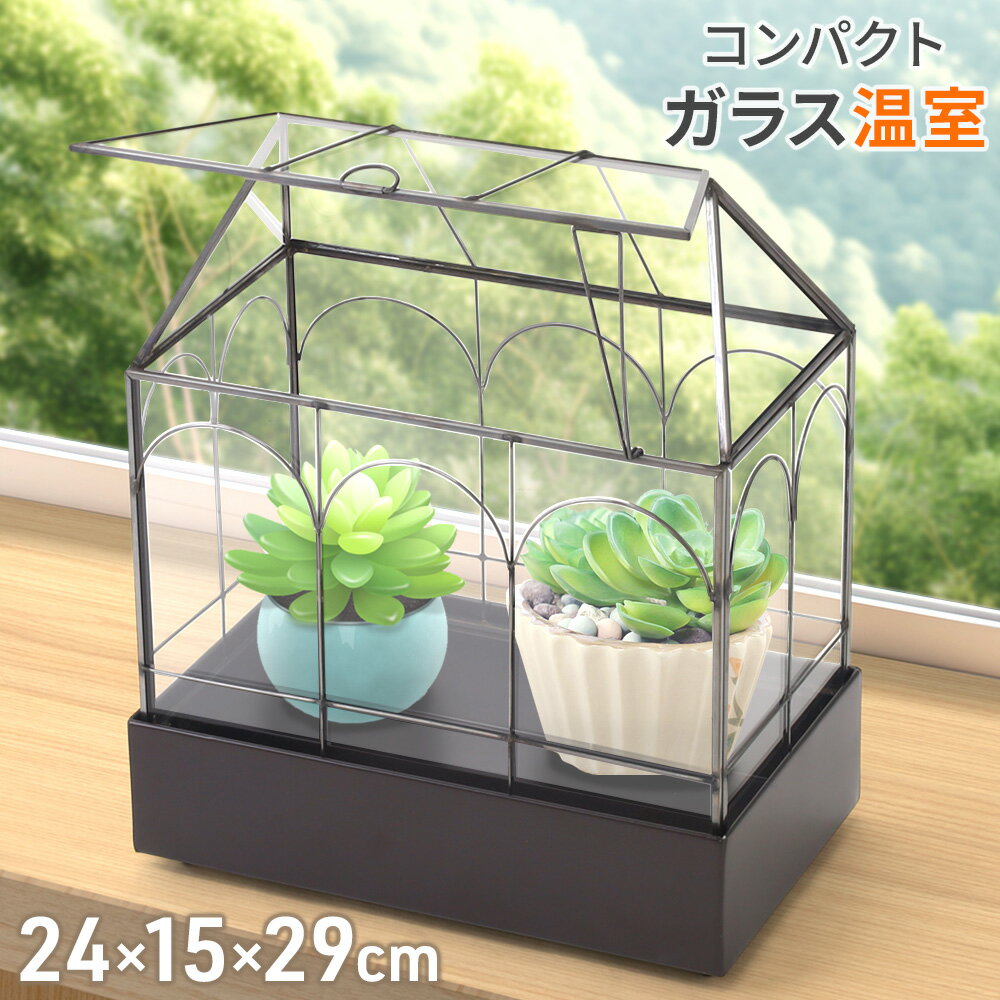 ガラスケース600×300×360 食虫植物・サボテン・苔・多肉・観葉植物・昆虫・