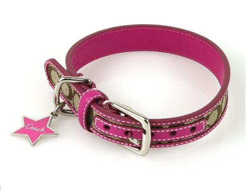 楽天市場】コーチ アウトレット（首輪｜首輪・胴輪・リード）：犬用品