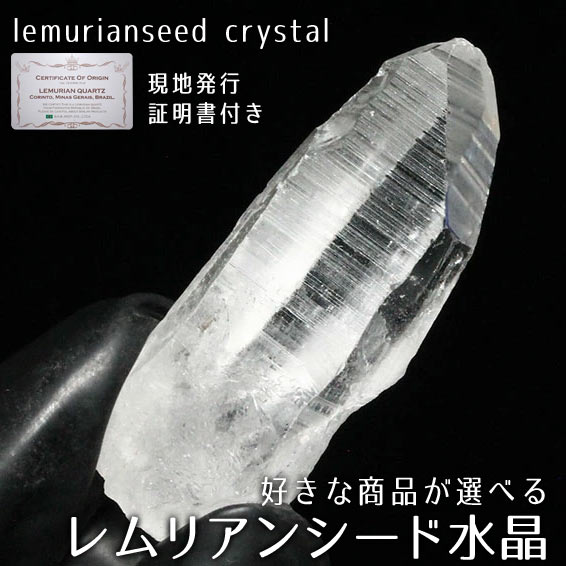 レムリアン水晶 スカルドゥ産 水晶原石 原石 スカルドゥ水晶 約11