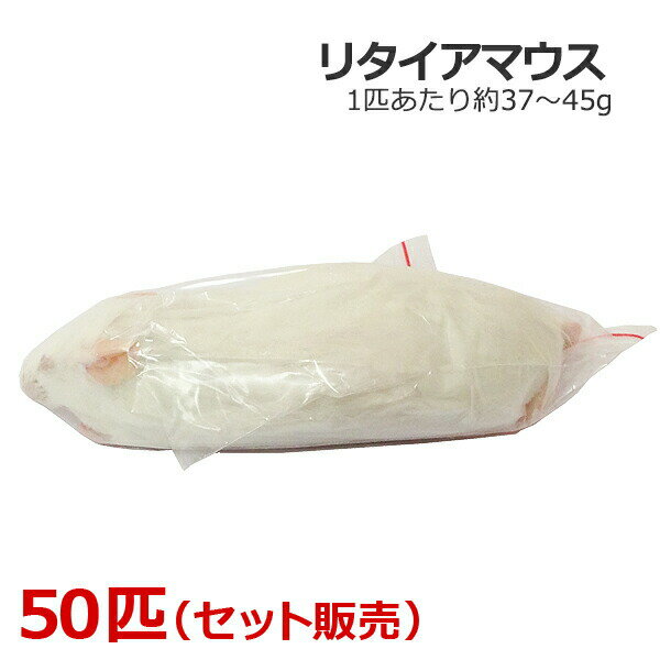 楽天市場】冷凍 マウス リタイアの通販