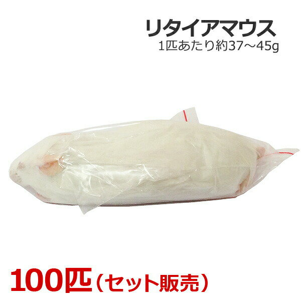 楽天市場】冷凍 マウス リタイアの通販