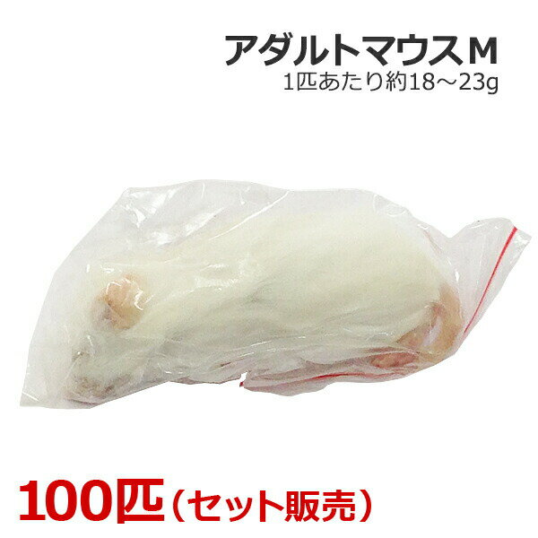 送料無料 冷凍マウスアダルトL50匹 【公式通販】