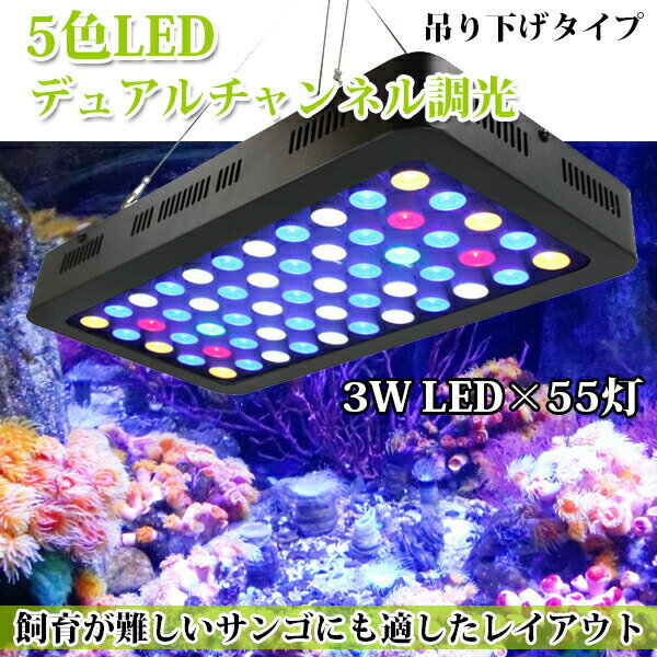 楽天市場】フル スペクトル led サンゴの通販