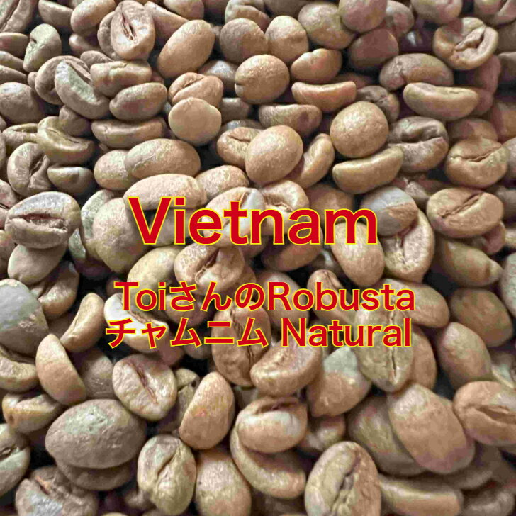 爆安!!【コーヒー生豆】ジャバ/ロブスタ/インドネシア 8kg※送料無料