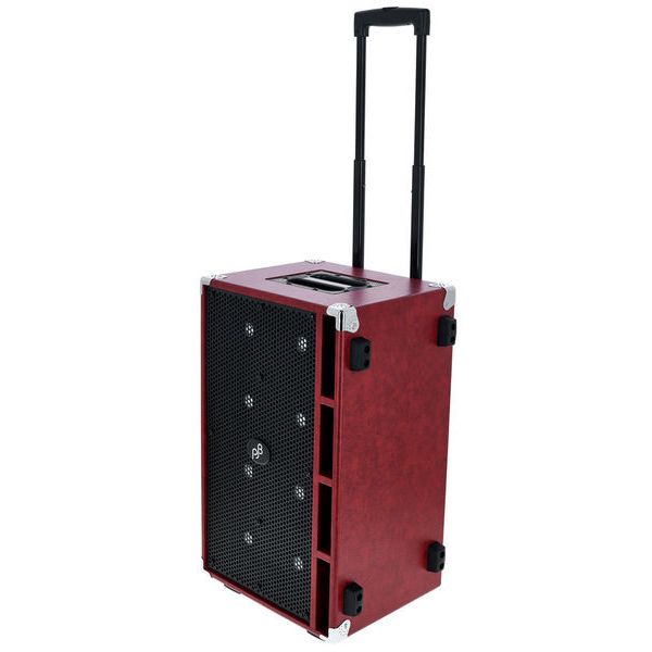 Phil Jones Compact C8 Bass Cabinet RD – United States