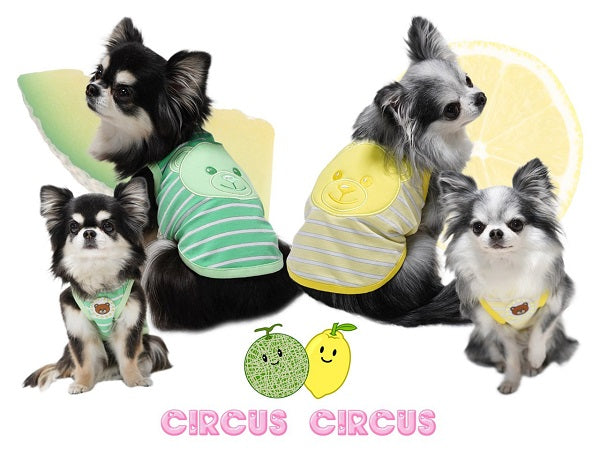 サーカスサーカス circus circus Toy Bear Juicy Border タンク(Boys