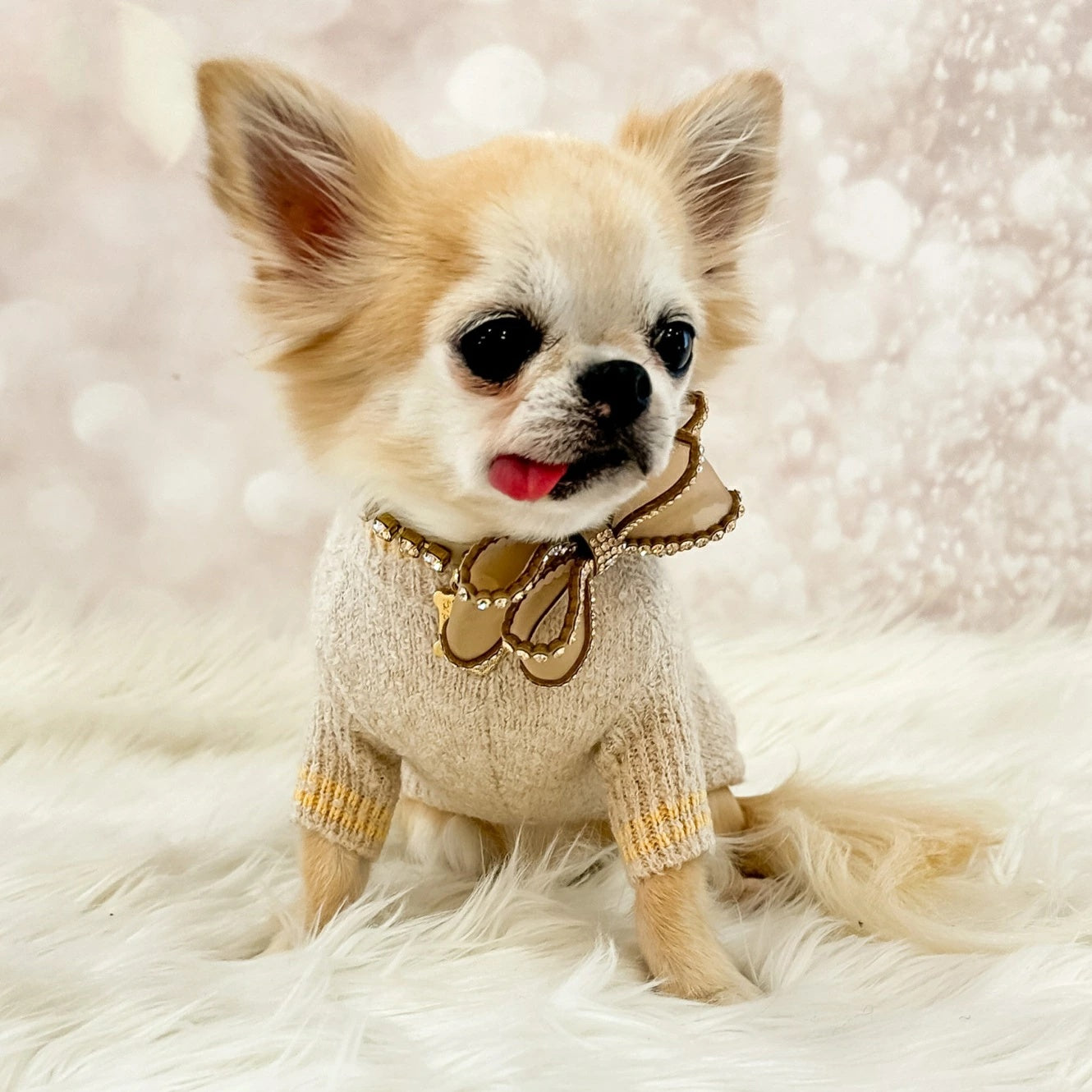 美品 mimtto ミムット 犬用 カバン ペットキャリー 楽天市場】ミムット