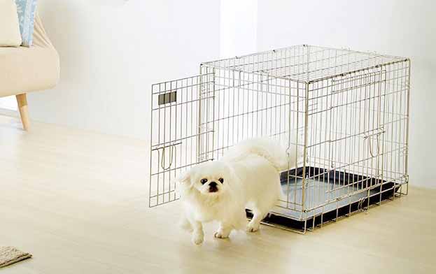 ペットフード＆ペット用品の「トムキャット」