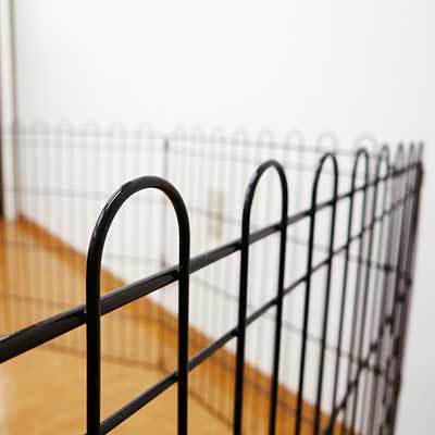 大型犬 トムキャット 8面サークル 高さ106cm Amazon | トムキャット 8