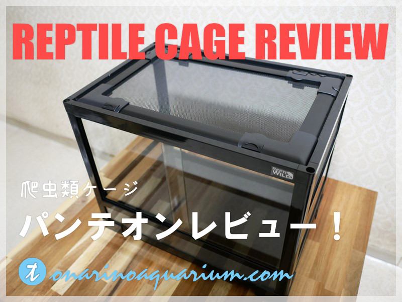 組み立て式爬虫類ケージ『パンテオン』レビュー！ | となりのアクアリウム