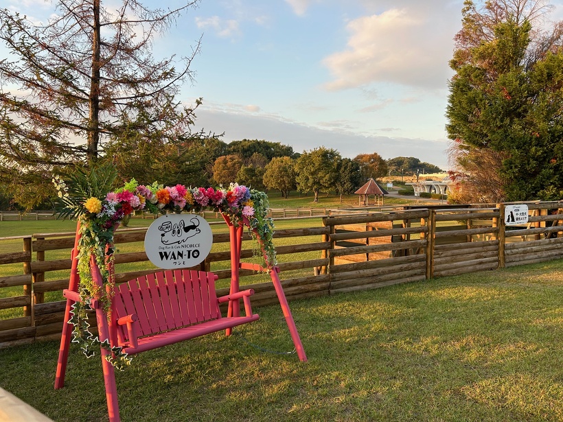 ドッグラン | 蜻蛉池公園（とんぼ池公園）