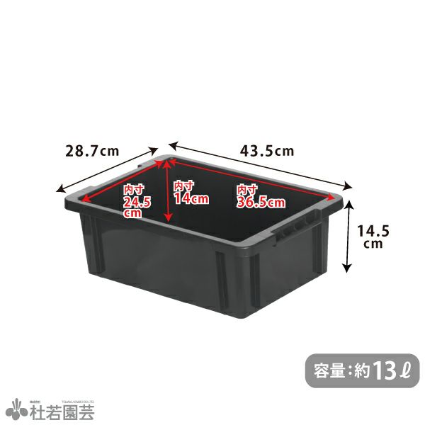 大型標本箱 2箱 大型標本箱 2箱 標本箱 オリジナルCタイプ |