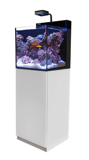 アクリル水槽縦型30cm アクアリウム