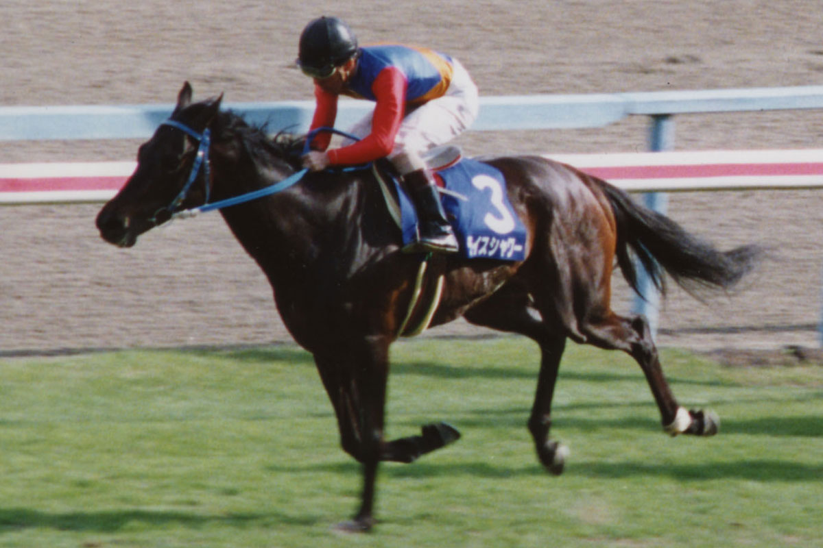 1993年・天皇賞春】〝マーク屋〟の面目躍如！ライスシャワーが