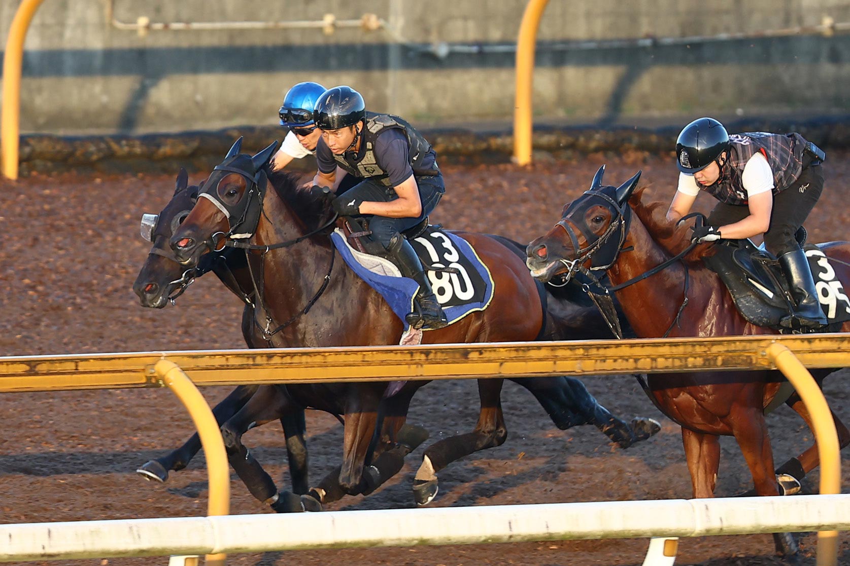 JRA 実使用 ゼッケン ローズステークス GⅡ GⅠ出走馬 タガノ