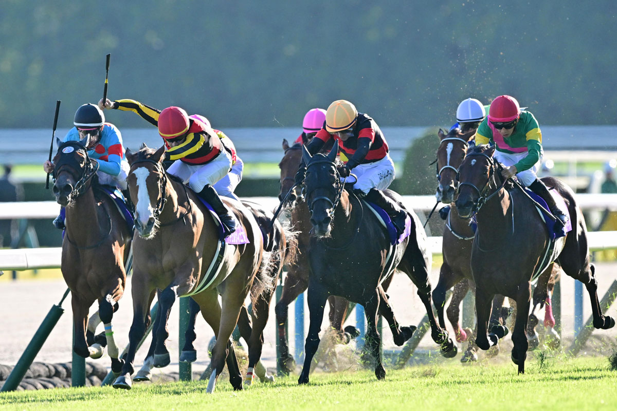 秋華賞】武豊ボンドガールが5番人気で2着激走 「やりたいレースは