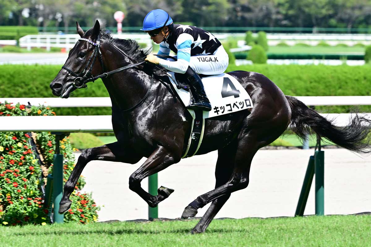 菊花賞2頭出しの友道厩舎からキタサンブラック産駒2頭が初陣