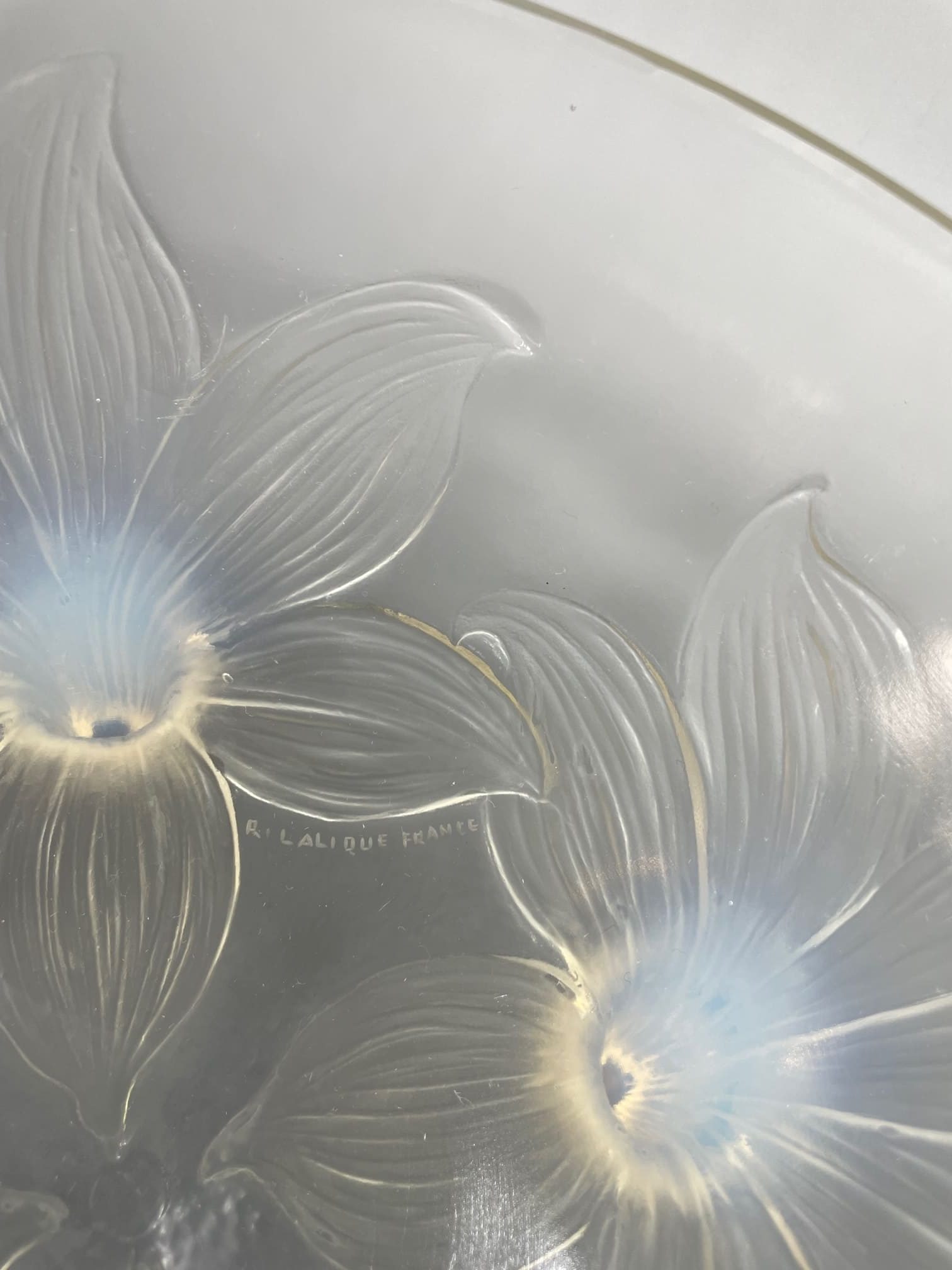 贅沢な時間を☆ラリック LYS 百合 オパルセント 大鉢 ボウル 1924年頃