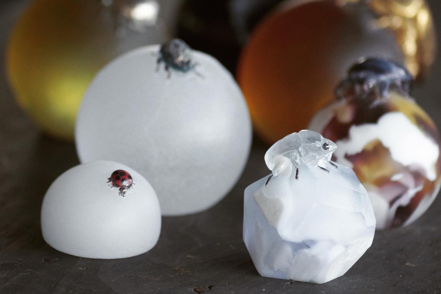 ガラス作家】芝崎由華さんの作品を取扱開始しました | 蟲と焼菓子 昆蟲