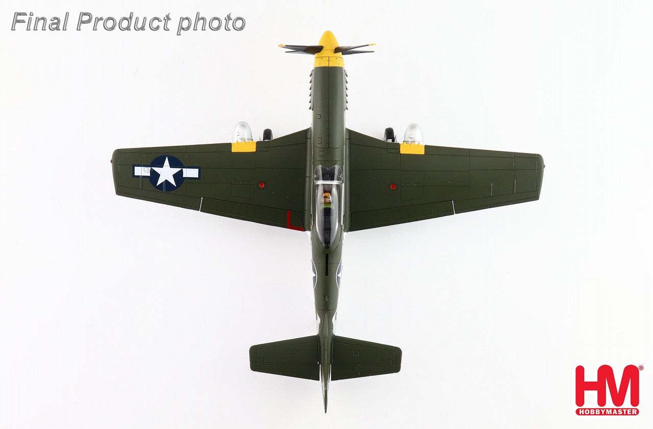海賊プラモデル屋】田宮1/48 F51D 第361戦闘航空団第375戦闘飛行機