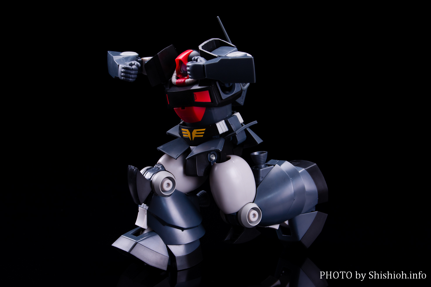 レビュー】ROBOT魂〈SIDE MS〉YMS-09 プロトタイプ・ドム ver. A.N.I.M.E.