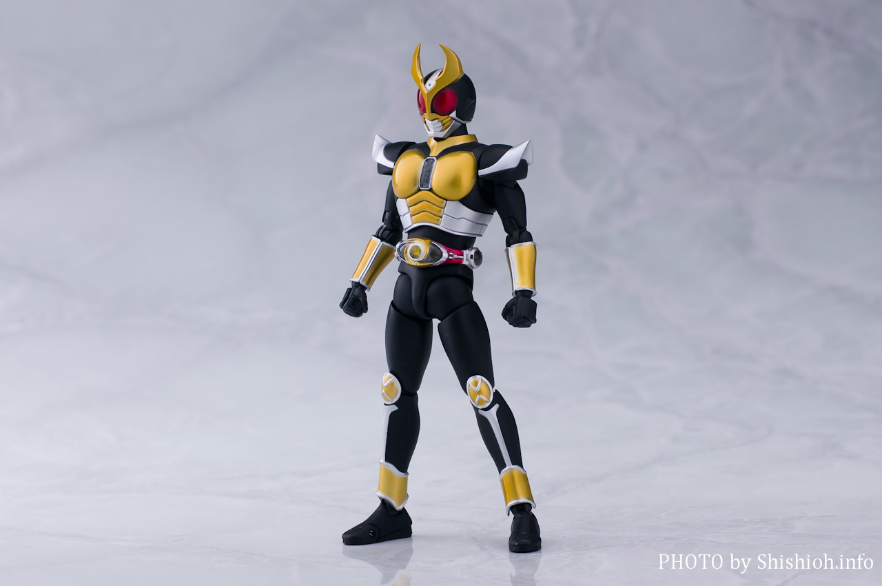 レビュー】S.H.Figuarts（真骨彫製法） 仮面ライダーアギト グランド