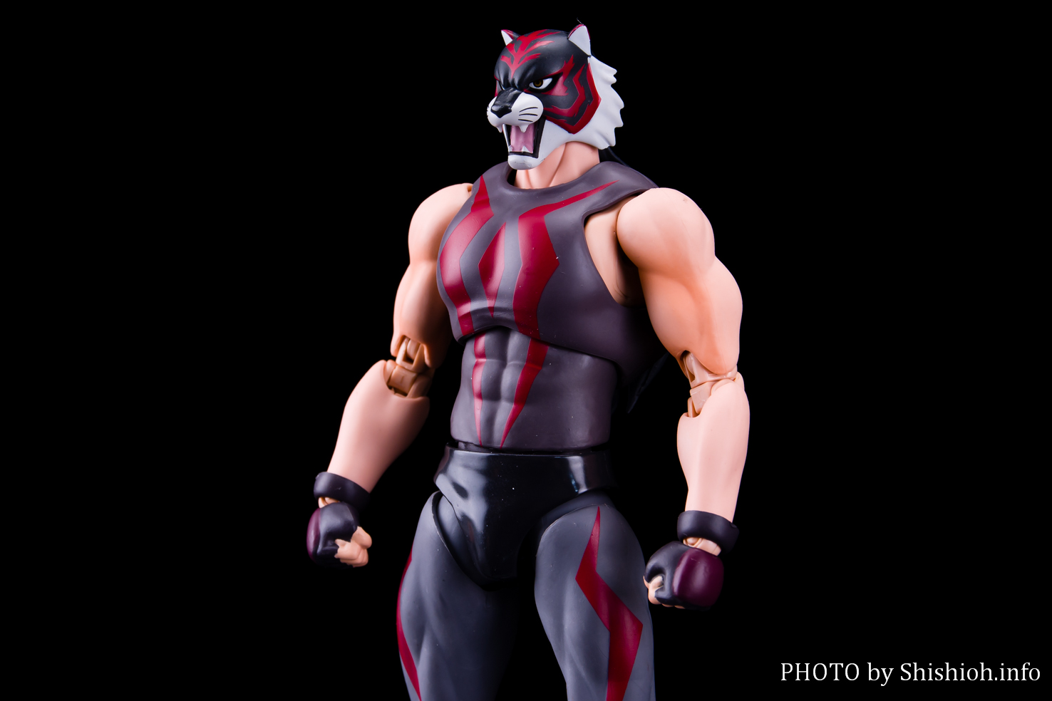 レビュー】S.H.Figuarts タイガー・ザ・ダーク