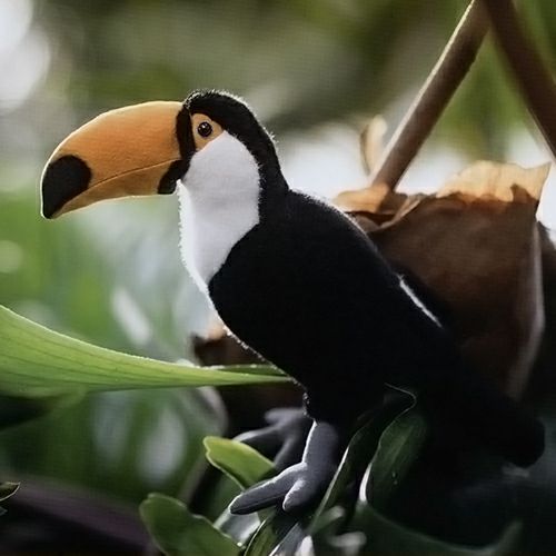 kosen ケーセン ぬいぐるみ 鳥 オオハシ おおはし no.7 kosen ケーセン