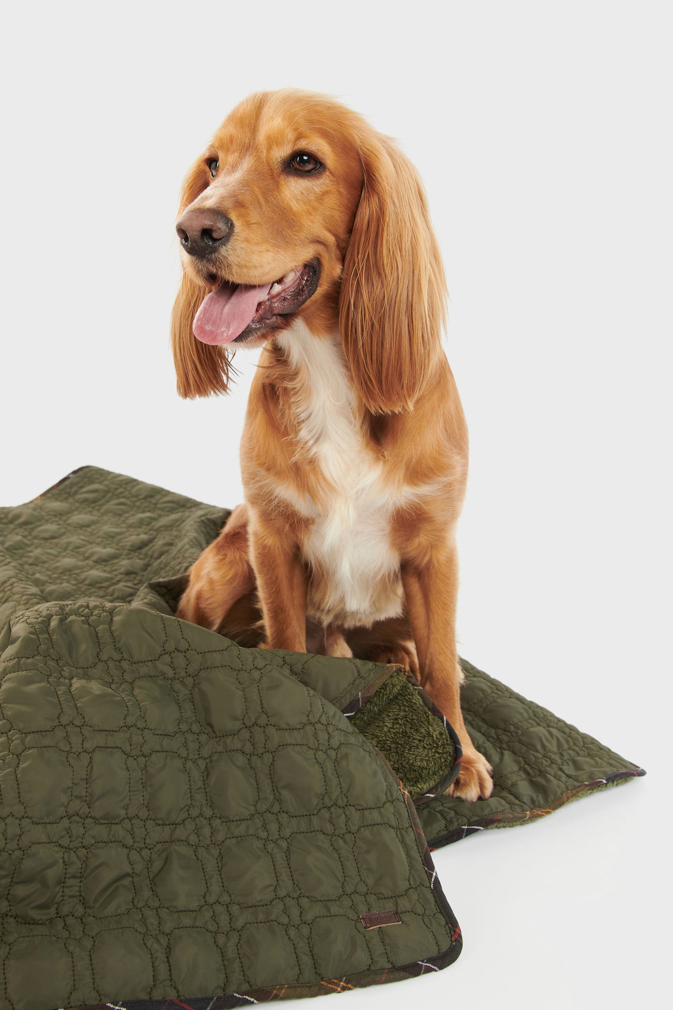 Dark Olive Dog Bone Quilted Blanket | Barbour