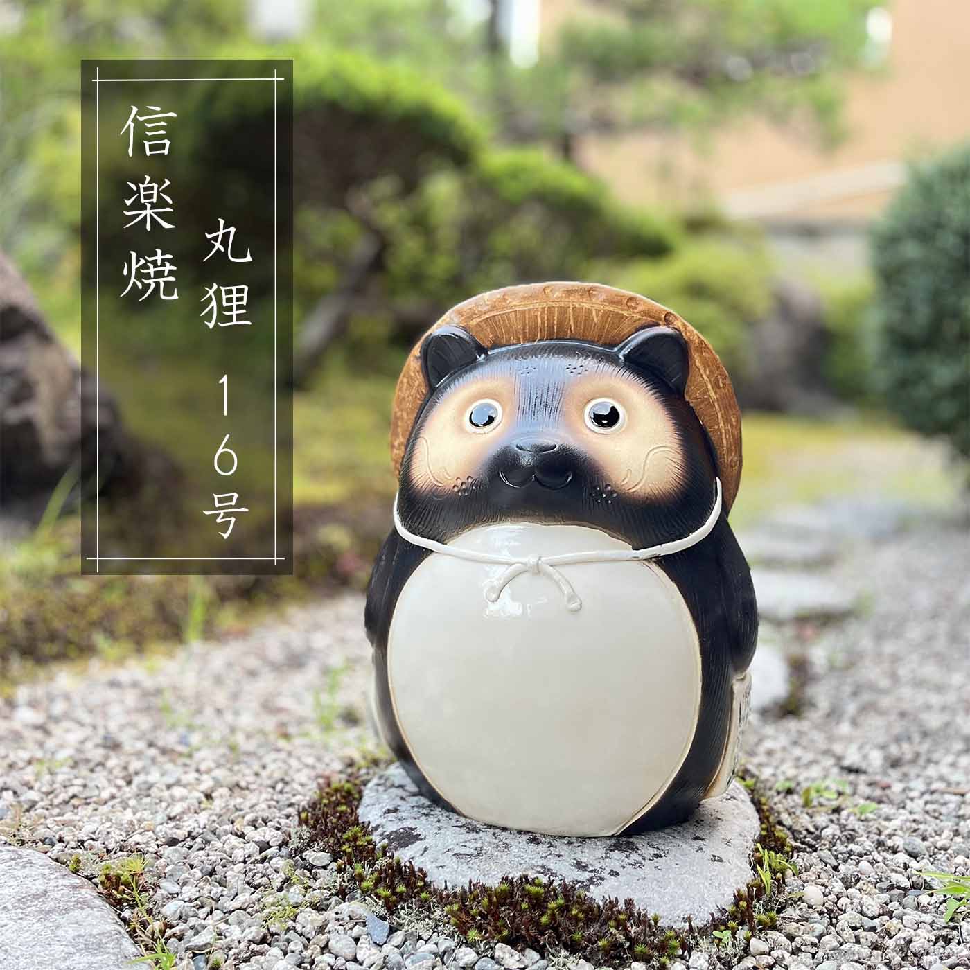 信楽焼 たぬき オス