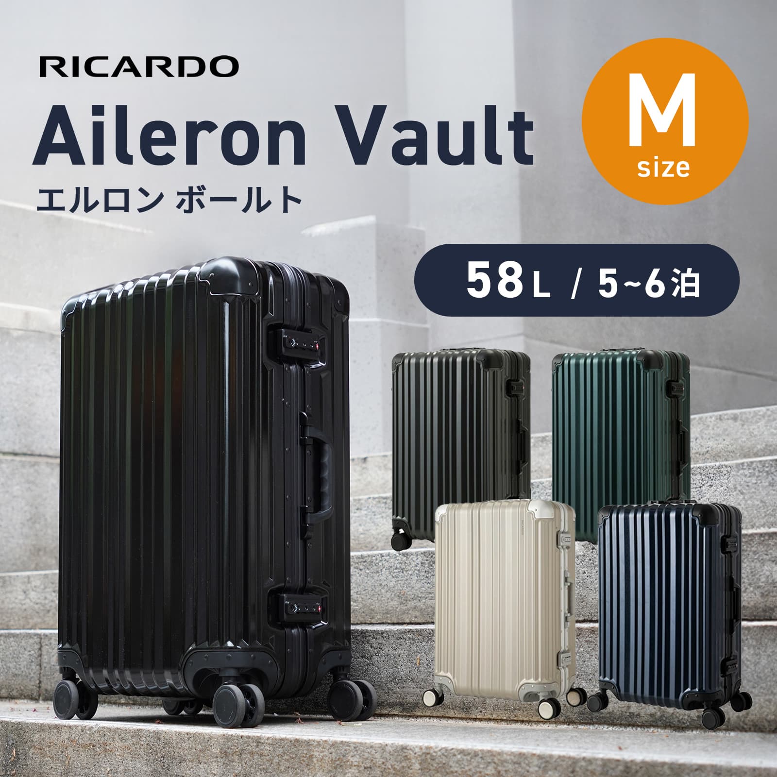 Ricard Aileron Vault スーツケース SMサイズ rimowa Ricard Aileron
