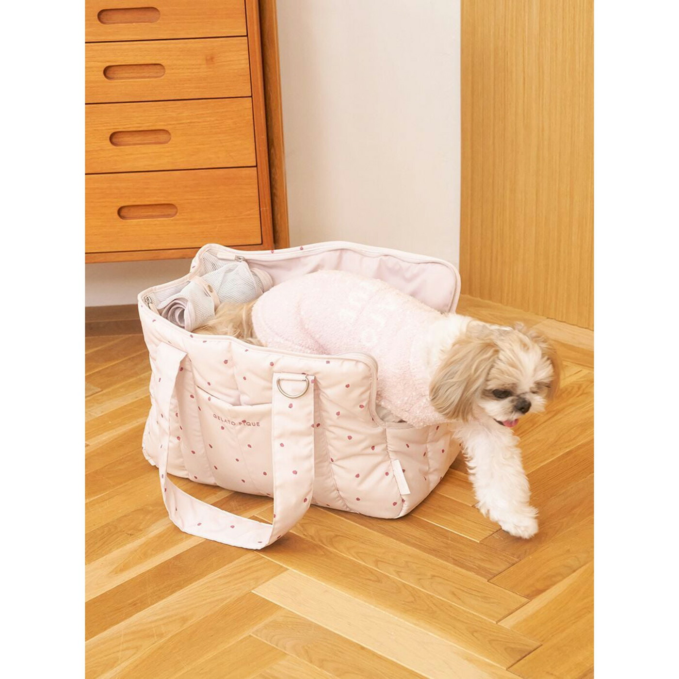 楽天市場】ジェラートピケ gelato pique CAT&DOG ストロベリー柄