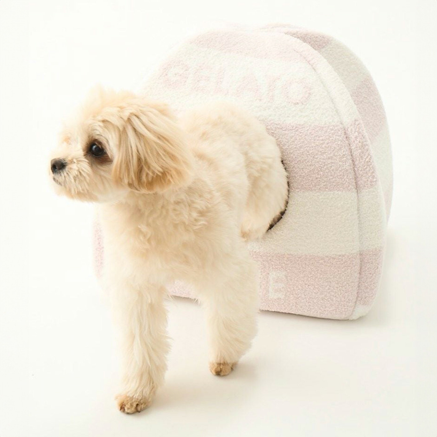 楽天市場】ジェラートピケ gelato pique CAT&DOG 販路限定商品 ベビ