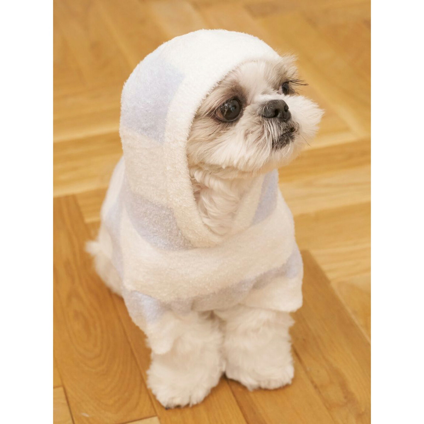 楽天市場】ジェラートピケ gelato pique CAT&DOG スムーズィーXLサイズ